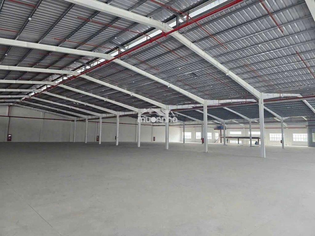 Cho thuê xưởng tân hiệp tân uyên bình dương - 2