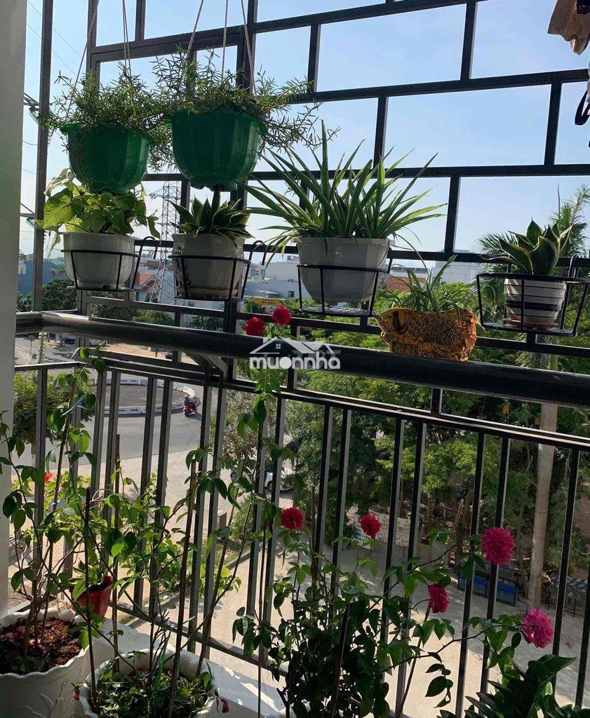 🔴 Bán gấp căn hộ vicoland 01 lê thanh nghị - trung tâm quận h - 2