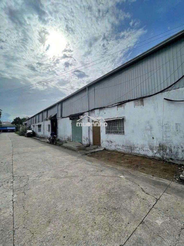 Cho thuê xưởng phú lợi thủ dầu một 1150m2 có 3 fa hạ bình - 2