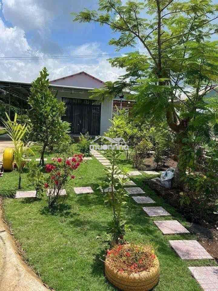 Bán 1 sào ngay trung tâm long khánh - 3