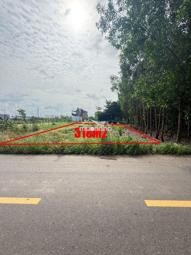 Đất rộng 318m² tại an viễn - trảng bom - 2