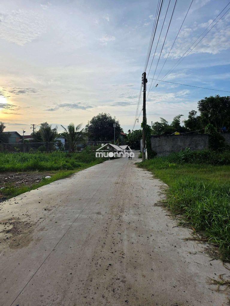 Bán gấp 224m2 đất full thổ cư tại phường tân triều thông lavender city - 2