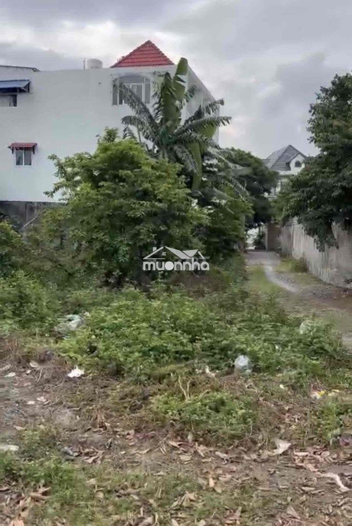 Đất chính chủ diện tích lớn gần vinhomes hóc môn - 2