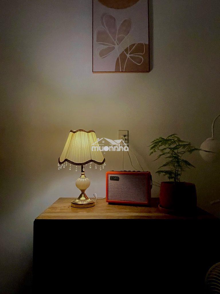 Quận 1 cho thuê sỉ 5-7 căn phòng vintage trang bị đầy đủ 2.5 triệu/căn