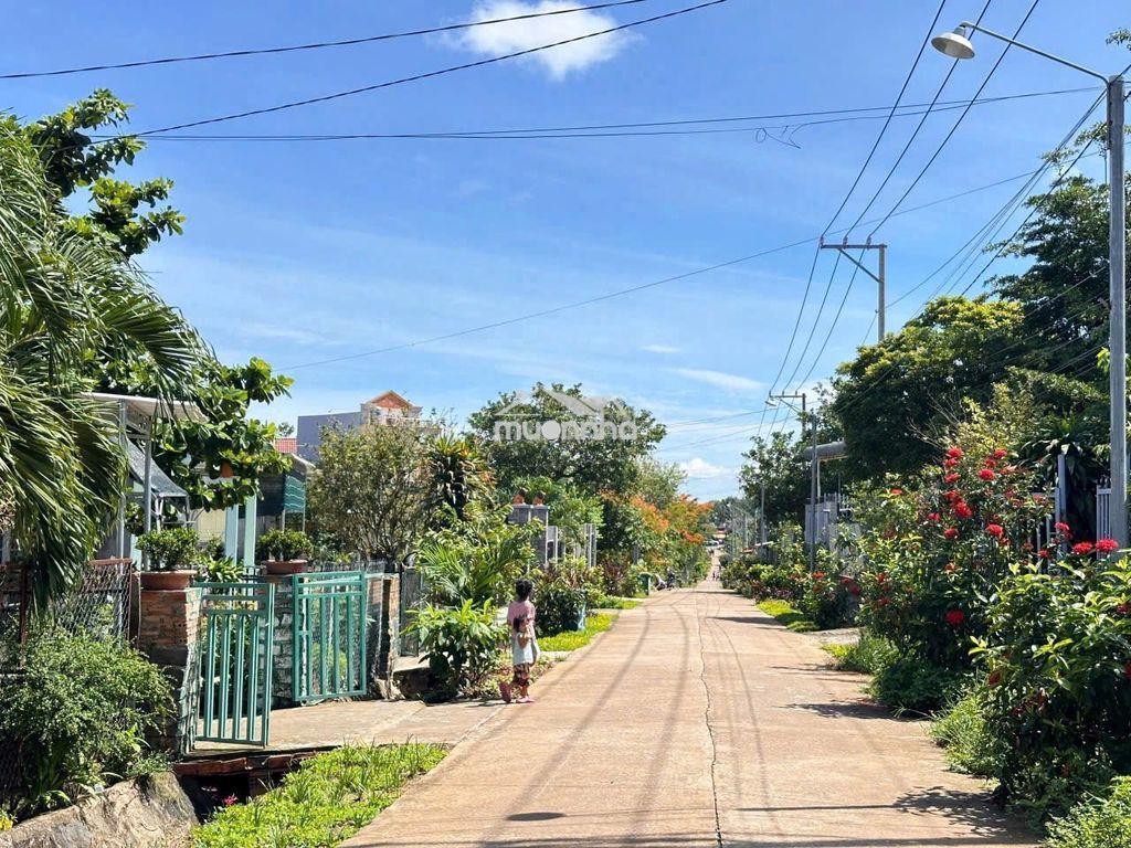 🔥Lô đất vườn  cây ăn trái bốn mùa tại gần dầu giây  giá chỉ 1.3 tỷ/sào - 2