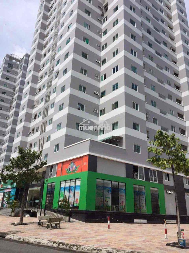 Cho thuê kho tầng trệt khu chung cư thái sơn - 3
