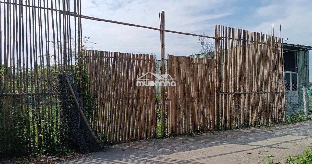 Đất hẻm ô tô thông, khu dân cư hiện hữu bình mỹ, củ chi. - 2