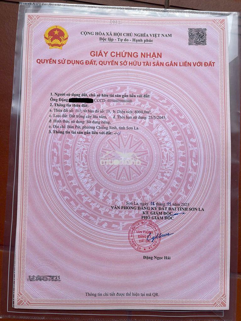 Chuyển nhượng 6.000m² vườn bản pát, chiềng sinh - 3
