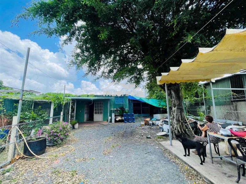 Cho thuê nhà sân vườn 200m2 giá 6tr/th 2pn 1wc sân đỗ ô tô