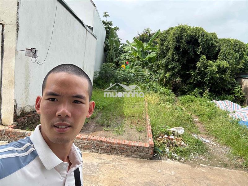 Bán đất