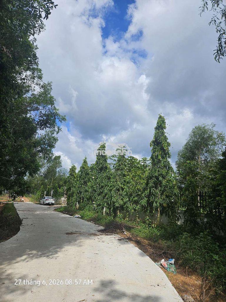 Biến 2.2ha thành "kho báu" du lịch sinh thái với giá chỉ 1,35 triệu - 2