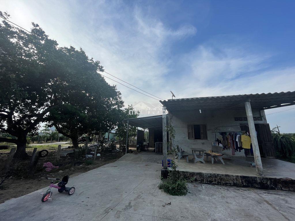 Chính chủ_bán 2043m2 đất phủ hồng nhà thờ bông trang, cách ql 55 300m - 2