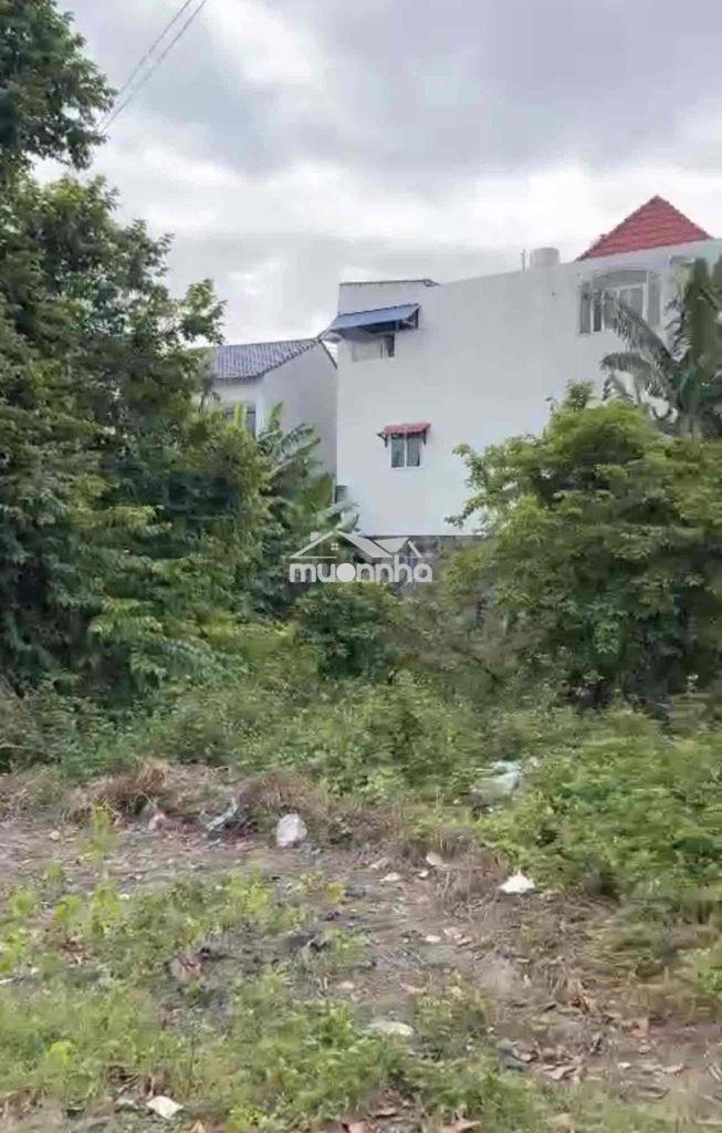 Đất chính chủ diện tích lớn gần vinhomes hóc môn - 3