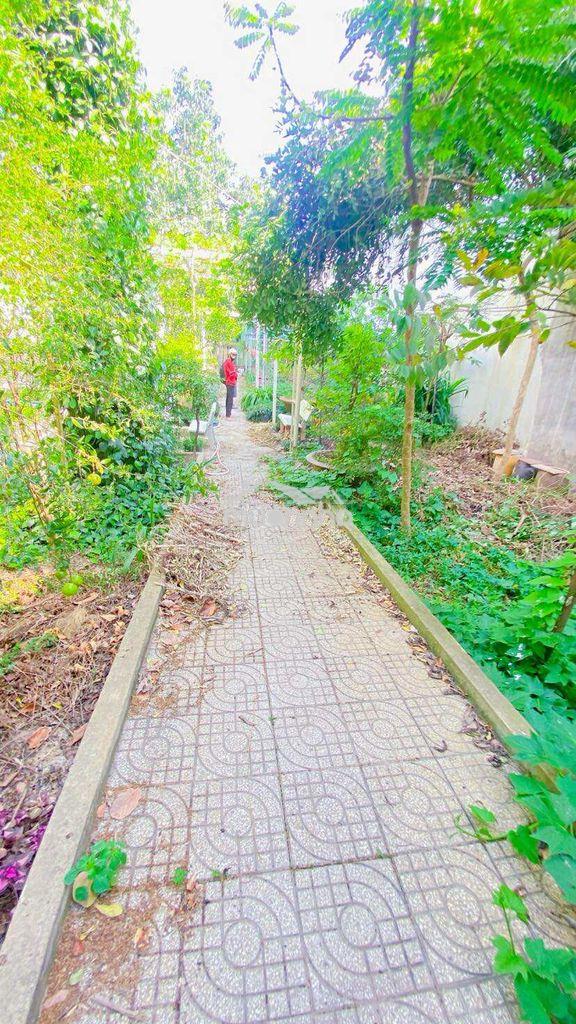 Cho thuê nhà 500 m2 đường 3/2 có vườn cây - 3