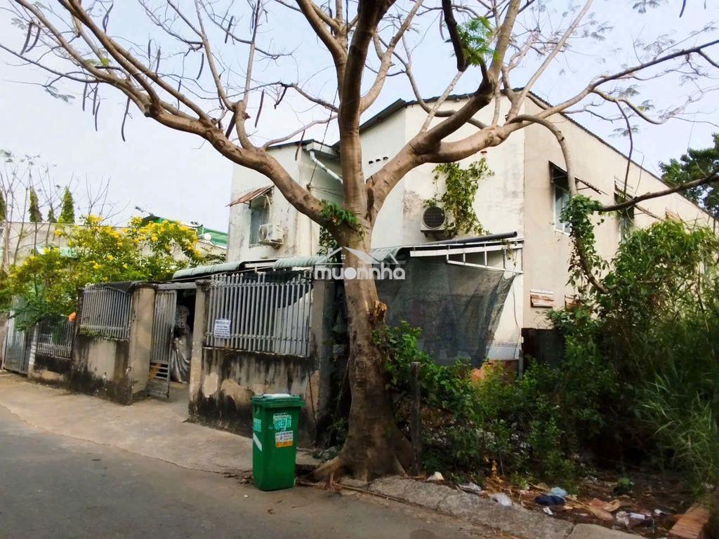 Phong trọ cho thuê 1243/54 lê văn lương, phước kiển, nha be - 2