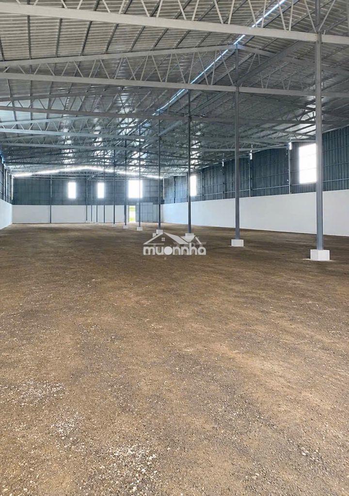 Cho thuê kho xã bình hưng 2.000m2 – kho rộng – xe tải thuận tiện - 3