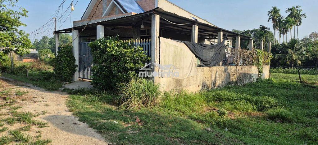 Bán đất thổ cư - 4