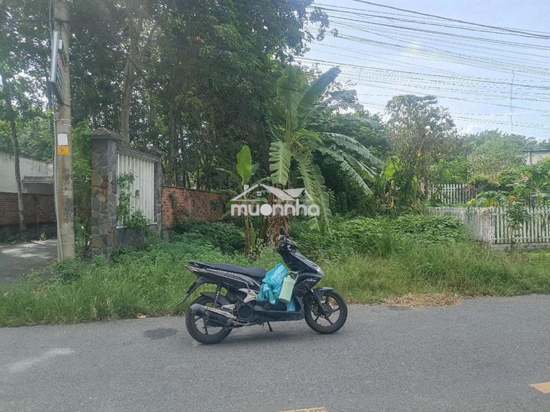Bán đất vườn