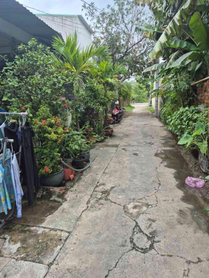 Nhà cấp 4 phạm thị vàng – bà điểm | 56m² | shr | 3,1 tỷ - 3