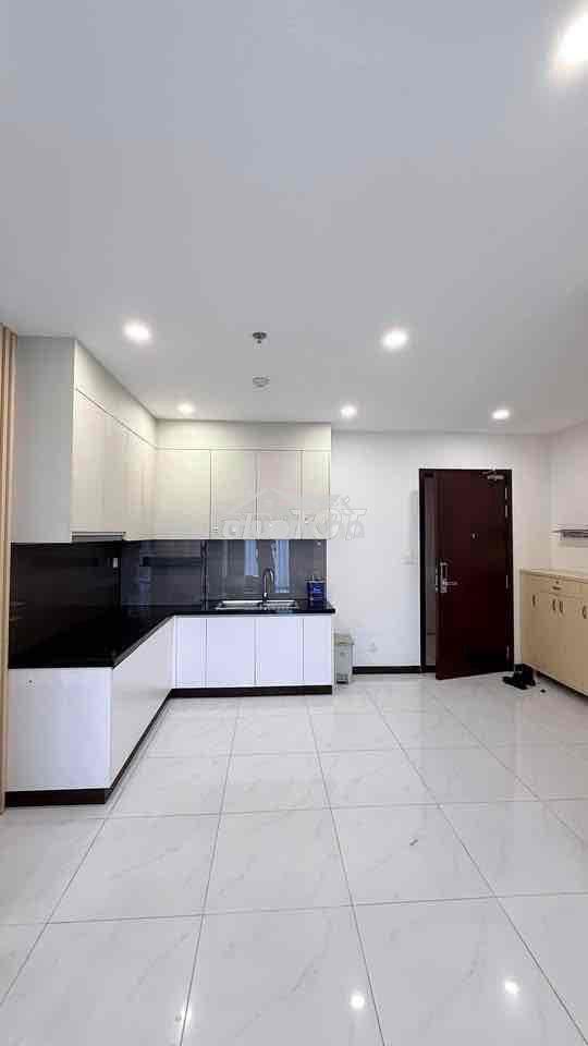 Cho thuê chung cư c-skyview 2pn ntcb - Ảnh 3