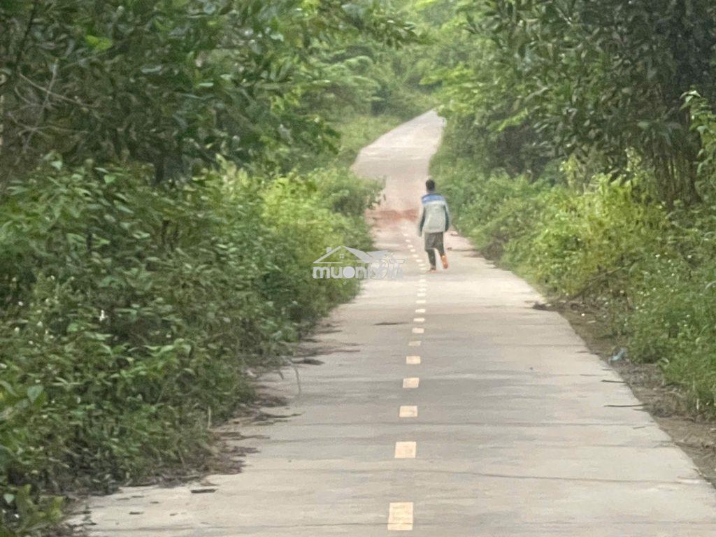 Bán lô đất ở tại nông thôn,dân cư đông đúc,cách qlo 20 khoảng 800m - 2