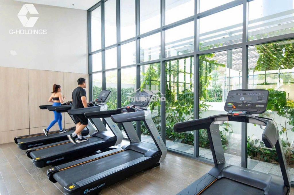 Chính chủ tôi cần tiền bán gấp căn hộ cao cấp penthouse c - skyview - Ảnh 2