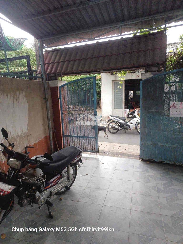Nhà phú thọ mái thái chỉ 5tr/th - Ảnh 2