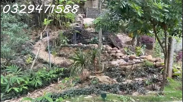 🌻Cho thuê nhà vườn tại xã lạc lương (h.yên thuỷ, hoà bình), nay là phú thọ. 0329471588 - 3