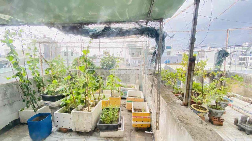 Nhà căn đôi khu vực dân cư gần ubnd phường bình tân - 4