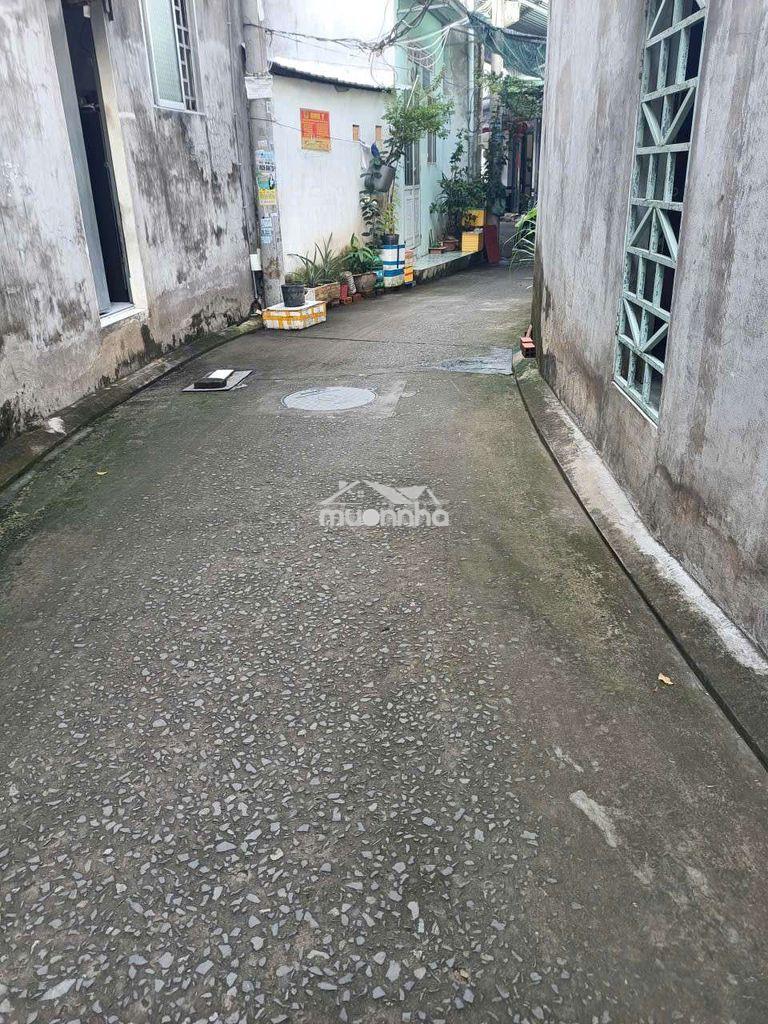 Bán đất full thổ cư hẻm 1 võ tánh - 3