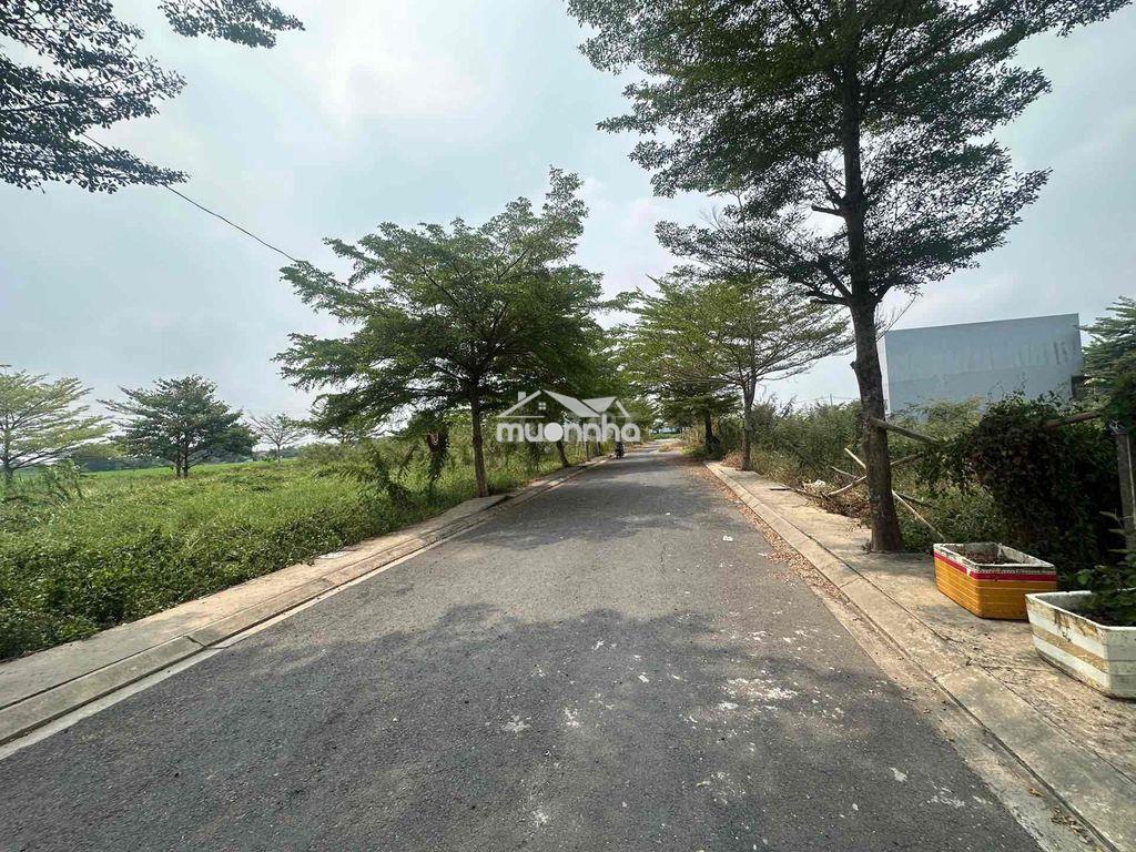 🔥 Đất full thổ 80m2 - bình mỹ – đường nhựa 10m – chỉ 1 tỷ 560 🔥 - 3