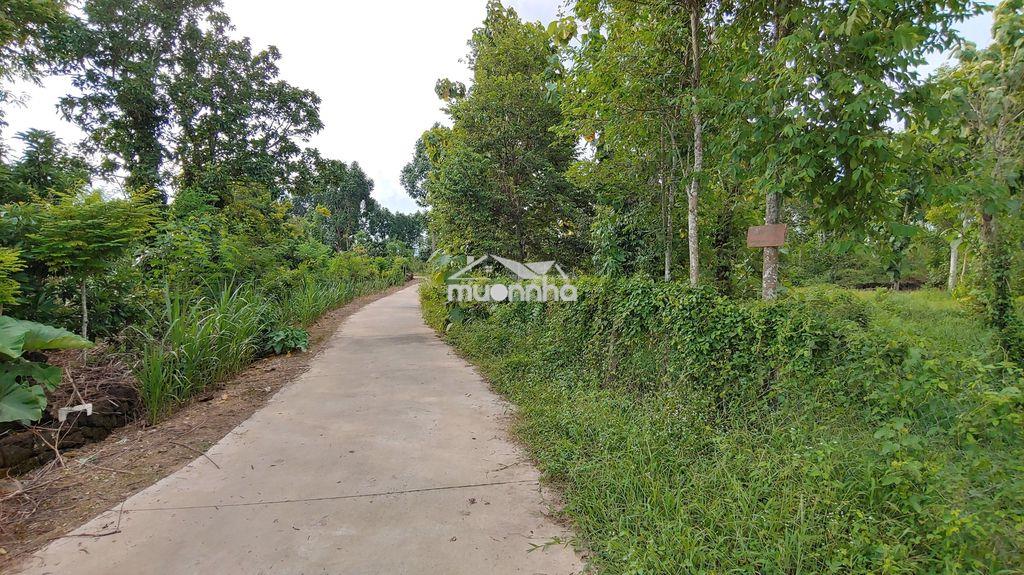 Bán đất phú lập cũ, tà lài , tân phú, đồng nai: 1,941 m², 25m mắt tiền - 3