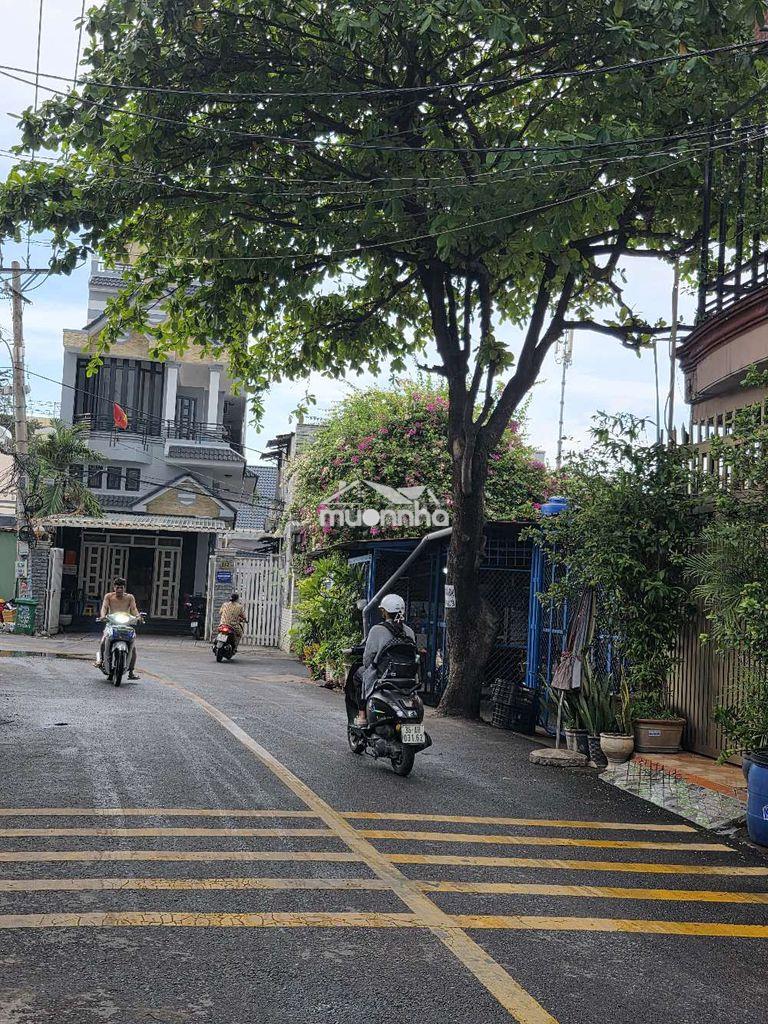 Chủ bán nhanh 3 cụm tòa nhà chdv 53 phòng có bán lẻ từng tòa  quận 12
