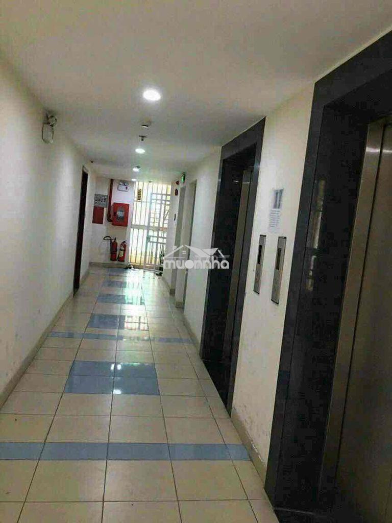 Căn hộ. c.c đông hải 47m2 2pn / 2wc sổ hồng riêng - Ảnh 2