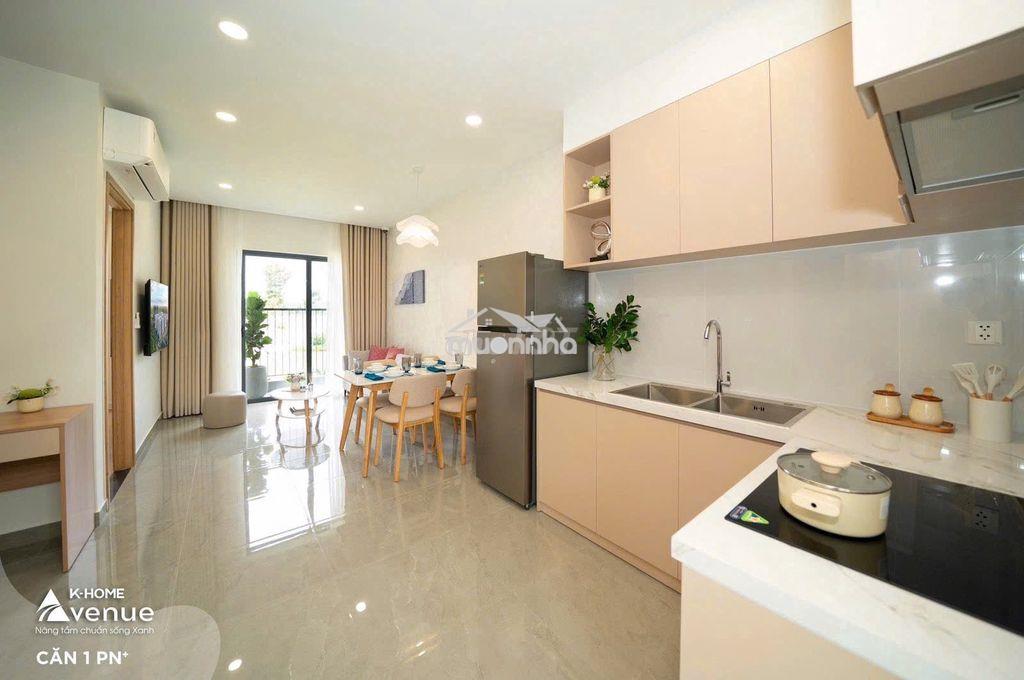 Căn hộ 1pn+1wc 46m2 full nội thất thành phố biên hoà - 2