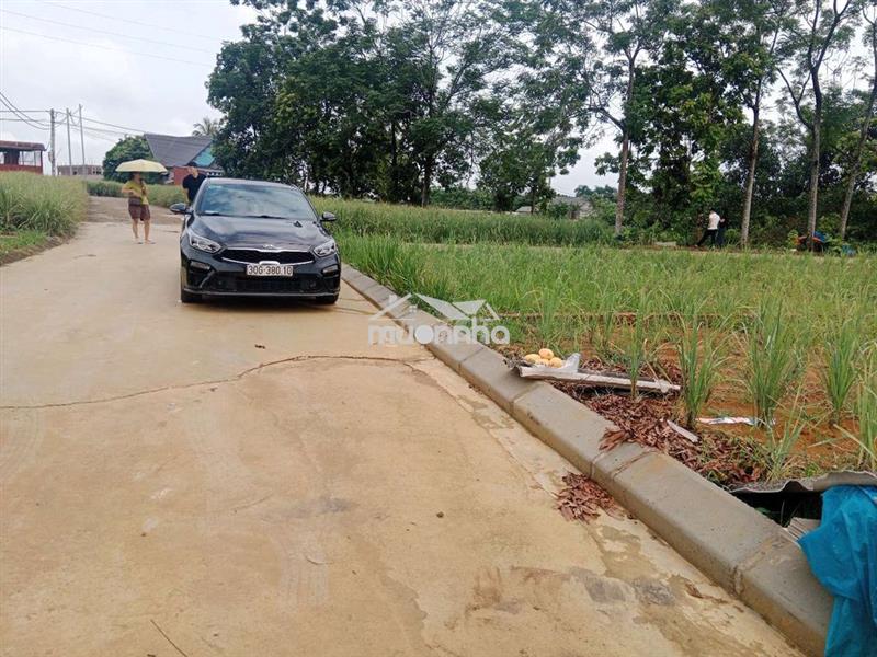 Đất nền phú cát hòa lạc sổ đỏ trao tay
