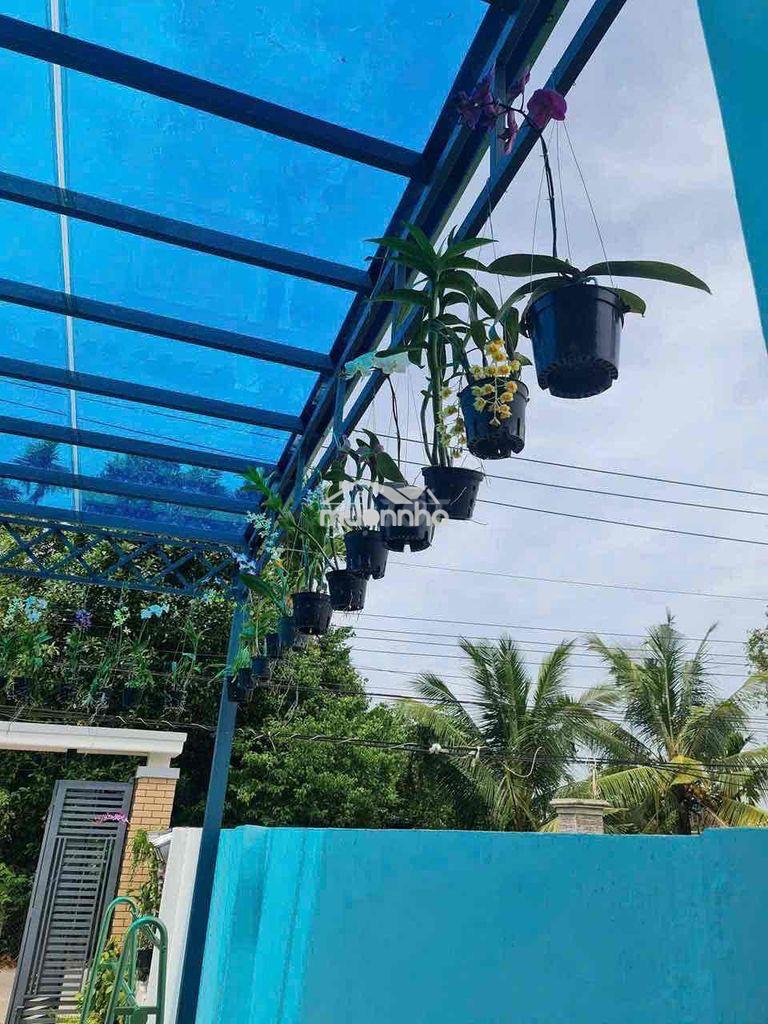 Nhà mặt tiền dx nhựa , phường tân an. 5x25m. 1 trệt 1 lầu - Ảnh 3