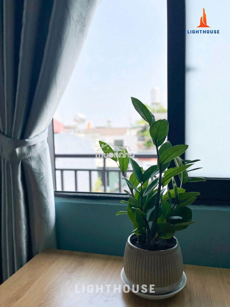 Ngay cd hồng đức, iuh, vl cs3 full nt an ninh chính chủ nhiều ưu đãi - Ảnh 2