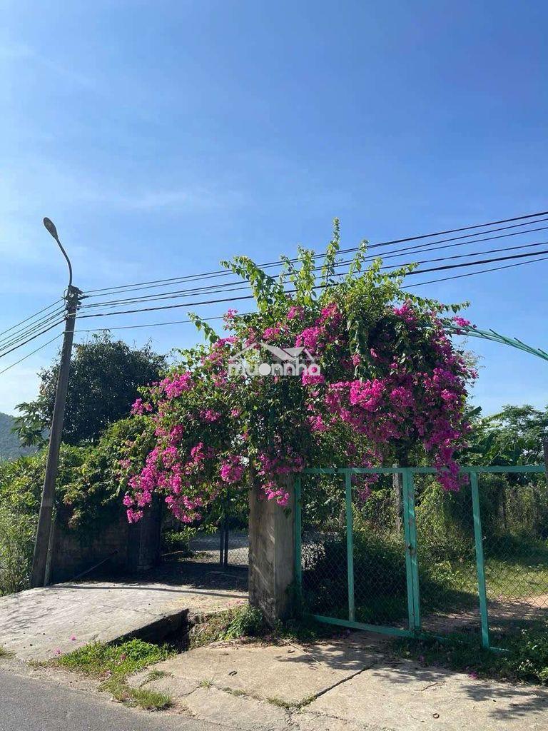 Lô đất quy chủ ngô xuân thu nối dài. đà nẵng - Ảnh 2