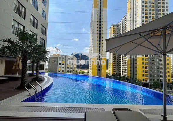 Căn hộ dịch vụ thuê tháng giá chung cư - Ảnh 4