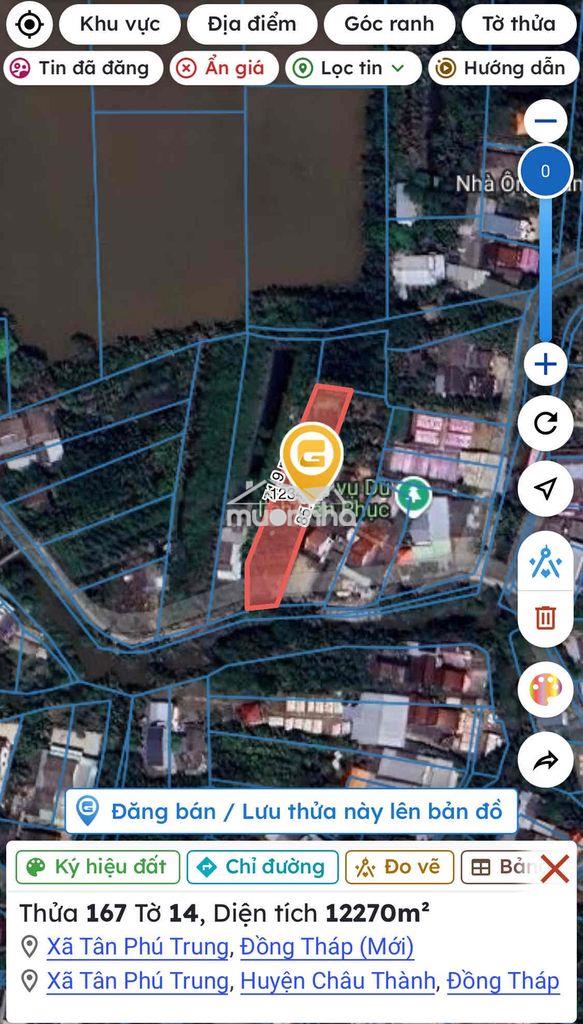 Đất nông nghiệp (trồng cây lâu năm) mặt tiền đường nhựa - 3
