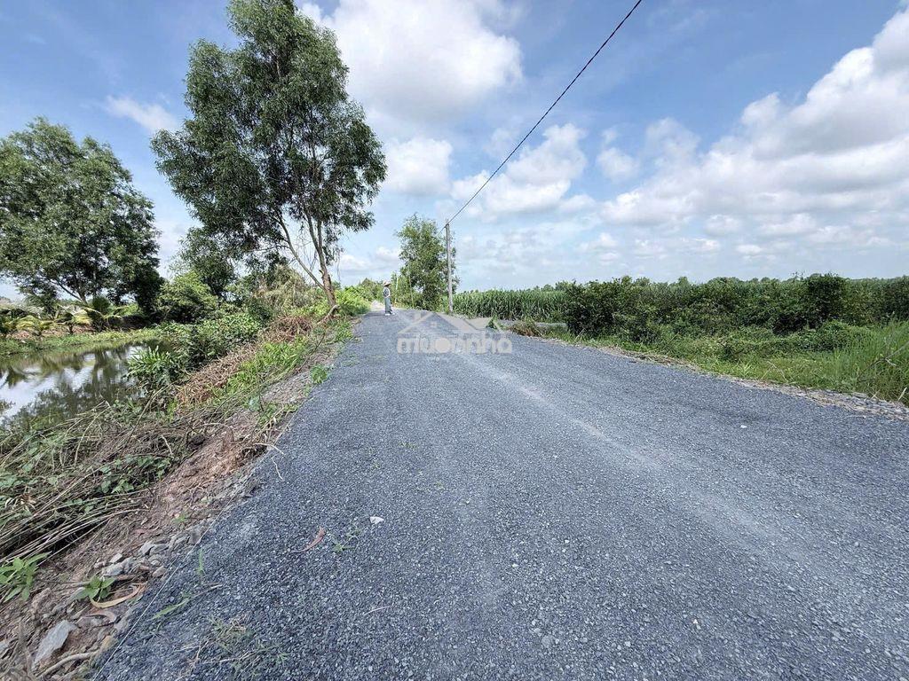 Hàng hiếm tại tỉnh lộ 816, 360 triệu, 500m2 đất vườn view kênh mát mẻ - 3