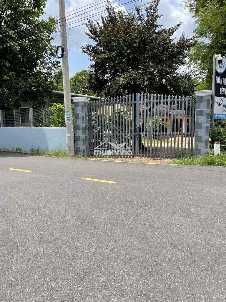 Bán gấp đất thổ cư chánh phú hoà - 4
