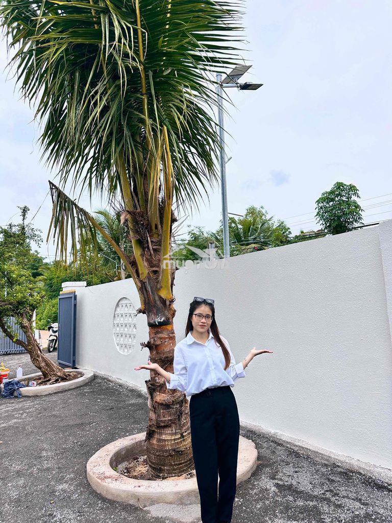 Top nhà ngang rộng hơn 12m ngay tại p.long khánh