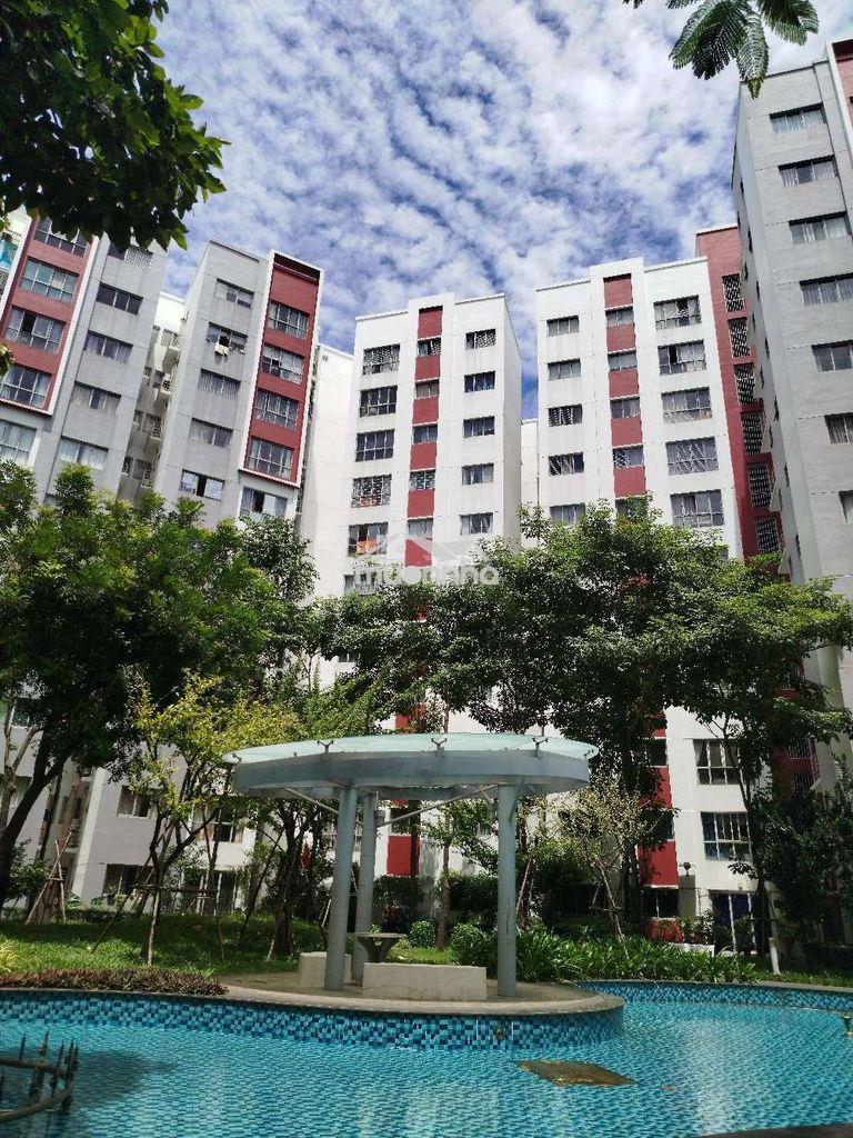 Cho thuê shophouse ruby celadon city tân phú, 1 trệt 1 lầu - Ảnh 3