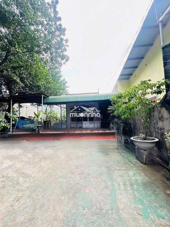 🏠Nhà vườn nghỉ dưỡng kẹt tiền sang lại cho người sau giá 1ti150 triệu. - Ảnh 2