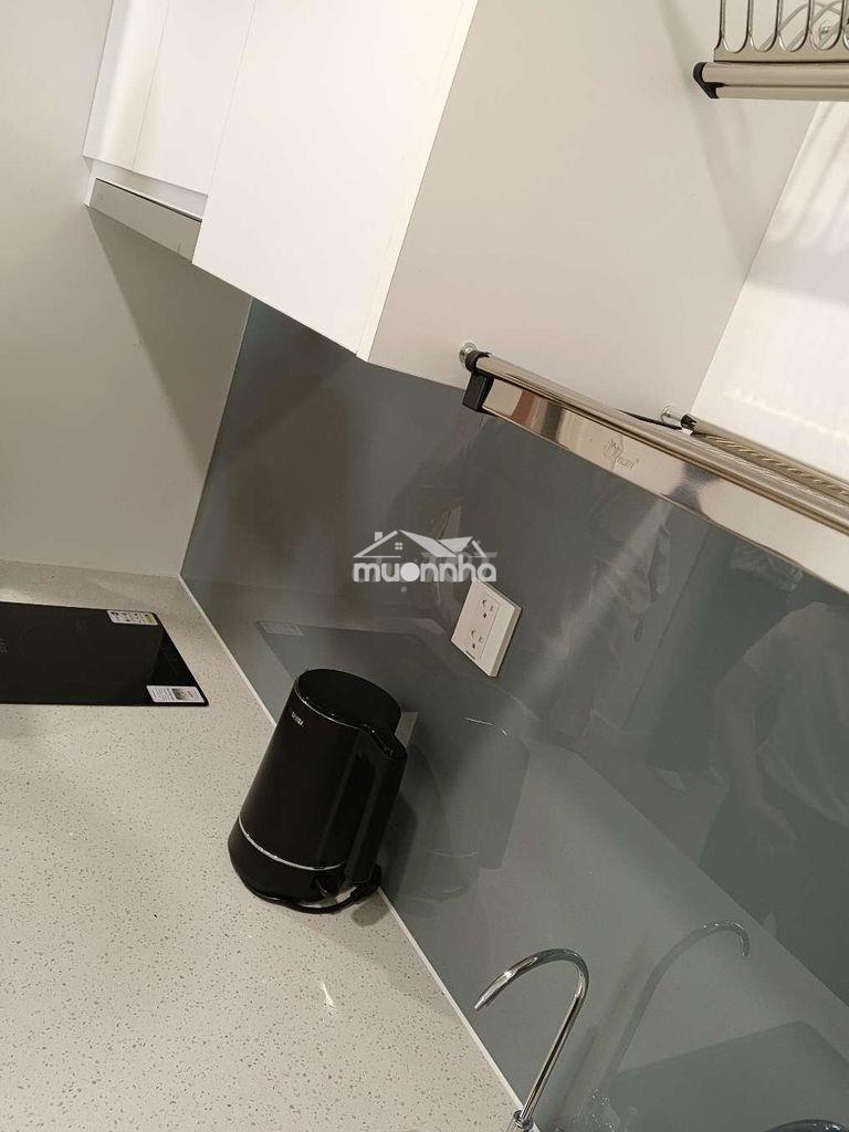 Cho thuê chdv 1pn1wc tại bcons city - Ảnh 2