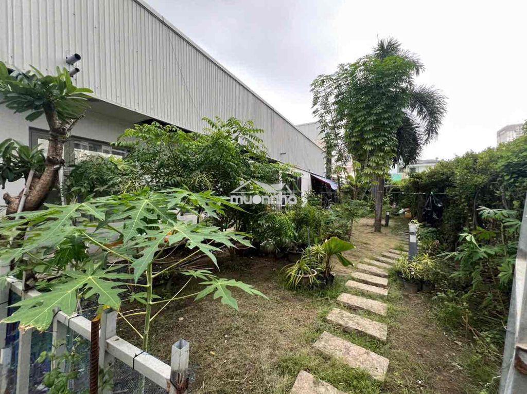 Cho thuê nhà phố sân vườn - Ảnh 2