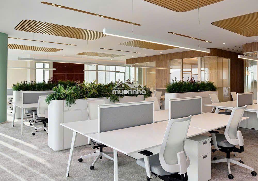 Bán văn phòng diện tích 81m2, đủ nội thất văn phòng - 2
