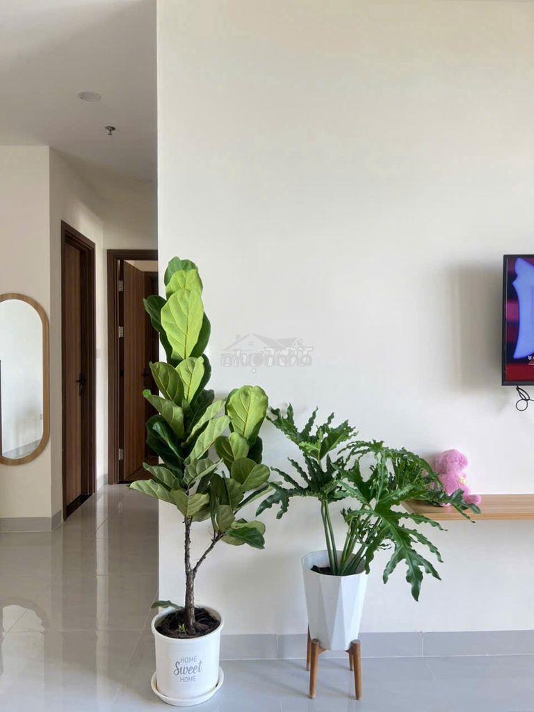 Cho thuê ~1pn-1wc~ có máy lạnh 5tr5 - Ảnh 2